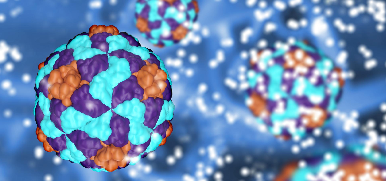 Biopharmaceuticals|바이오의약