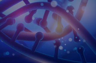 Advanced Drug Delivery Platform|mRNA와 다양한 치료제를 표적 부위에 안정적으로 전달하는 차세대 플랫폼 기술을 개발합니다.